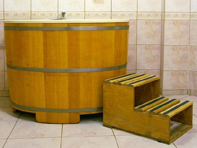 Sauna i basen ��eczki - studnia lodowa